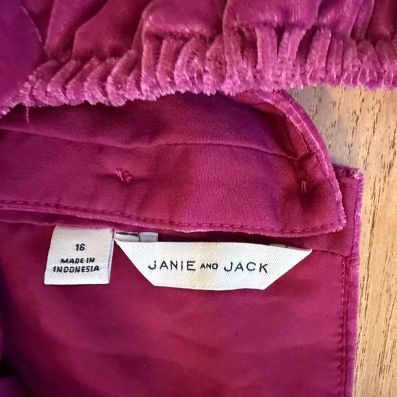 Janie & Jack girls size 16 velvet dress - Picture 3 of 7